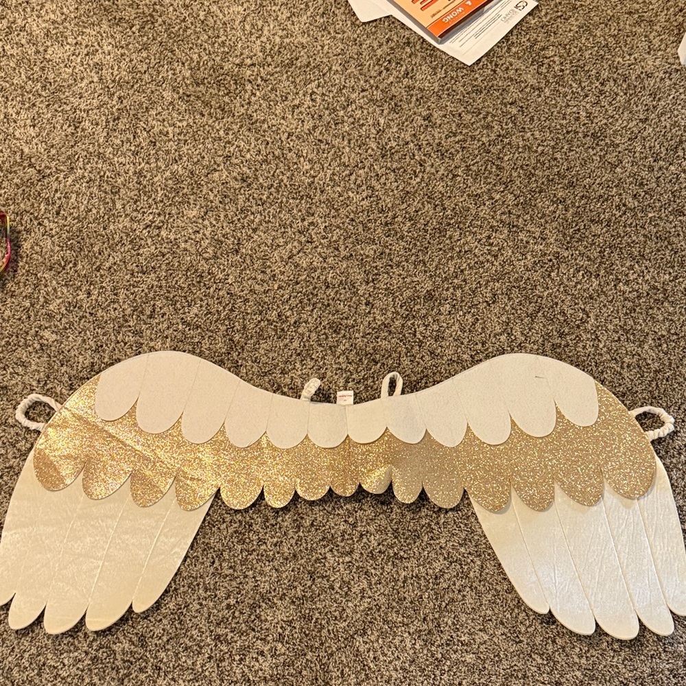 Hanna Andersson Gold and White Kids Wings
